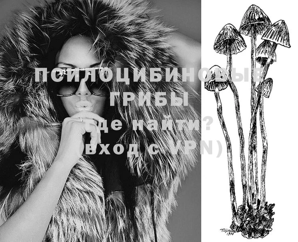 спиды Волоколамск
