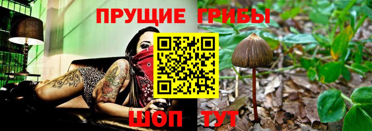 Еманжелинск  Галлюциногенные грибы Psilocybine cubensis  Вход с VPN 