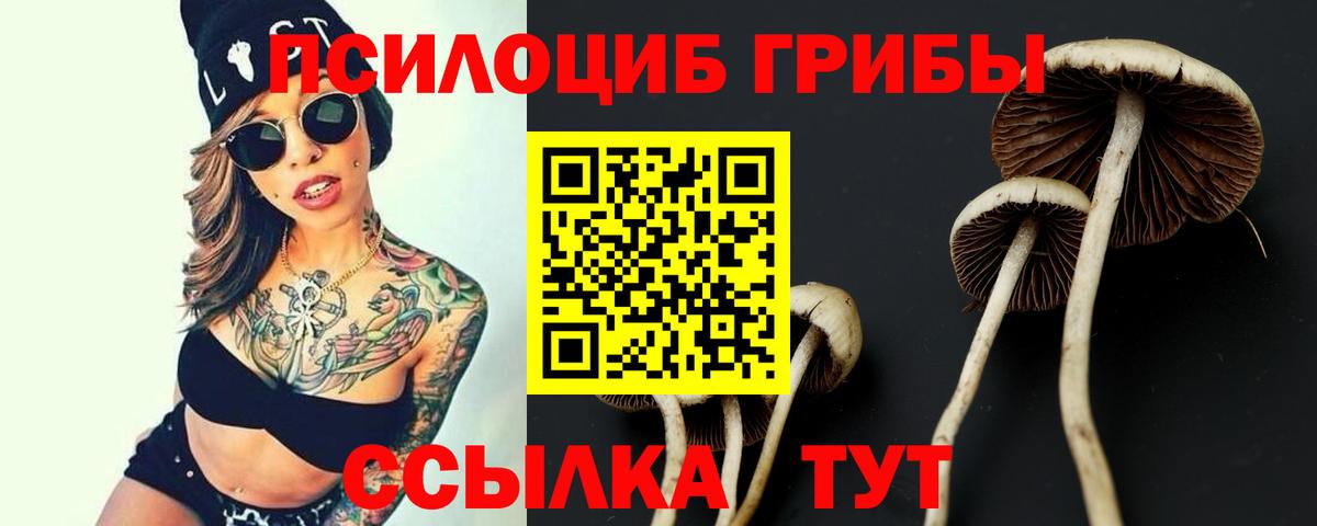 Псилоцибиновые грибы ЛСД  Еманжелинск 
